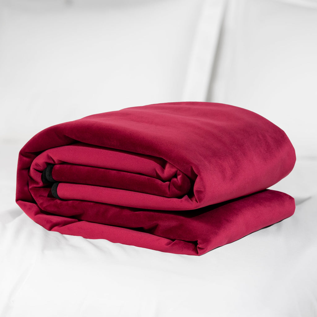 Microvelvet Fascinator Blanket- Travel Size